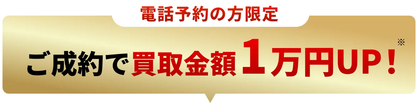 電話キャンペーン